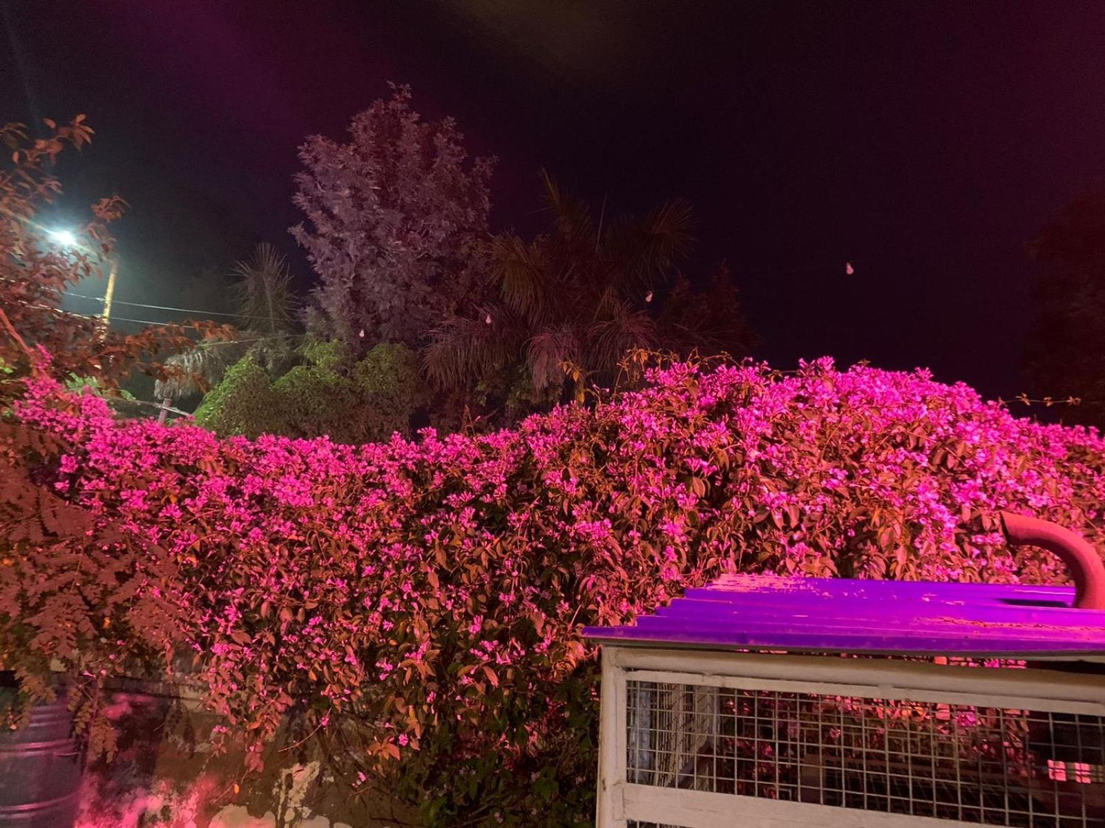 Nature Resort Agra  Bagian luar foto