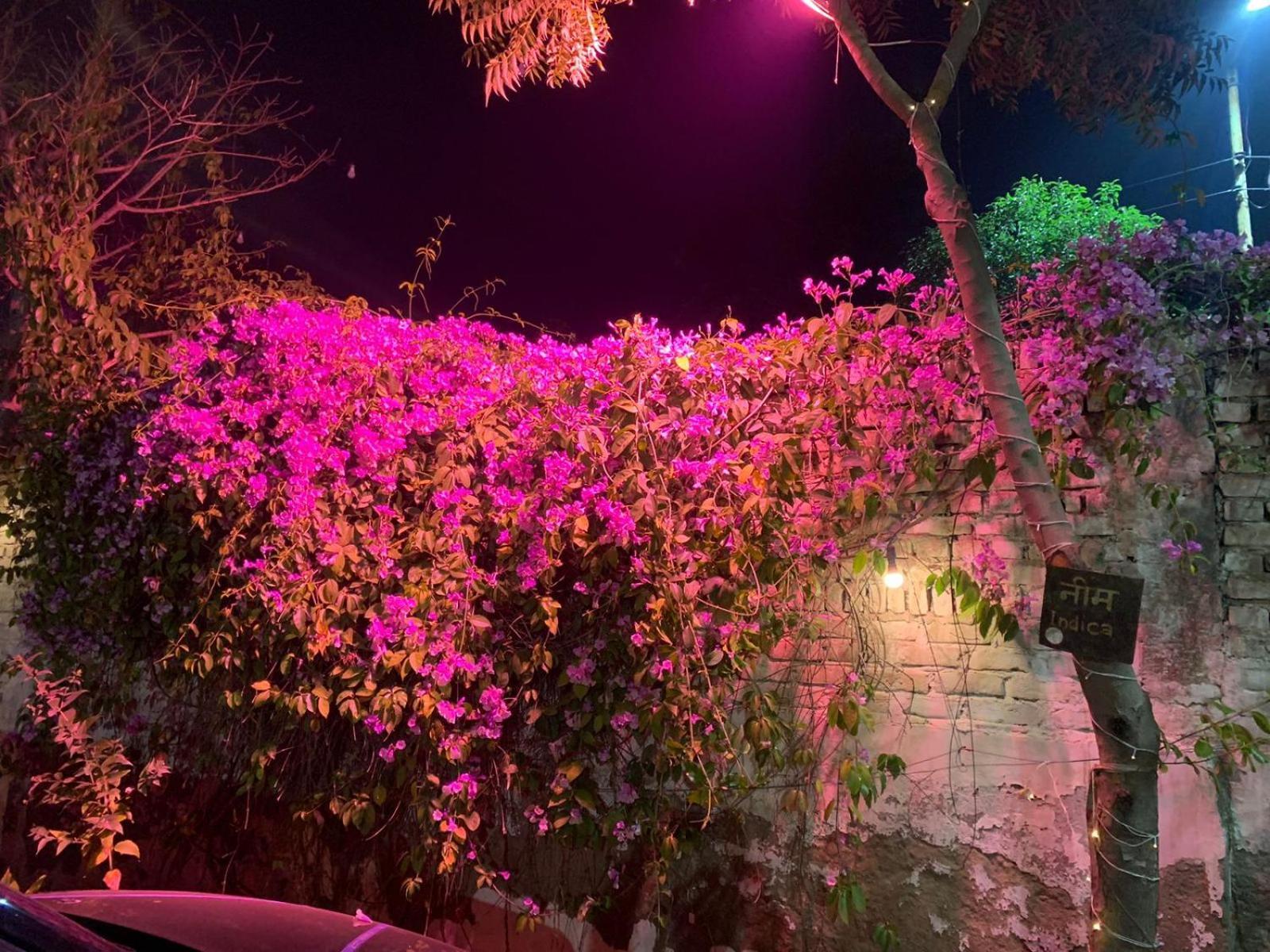 Nature Resort Agra  Bagian luar foto