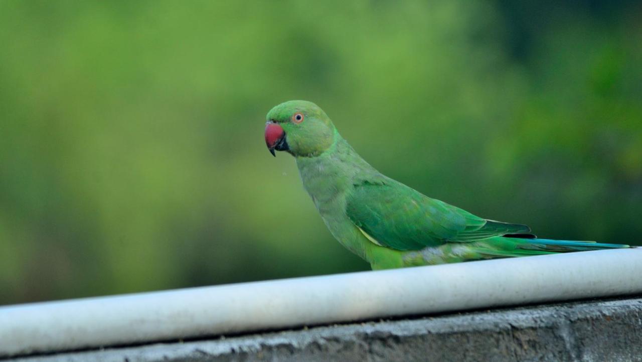 Nature Resort Agra  Bagian luar foto