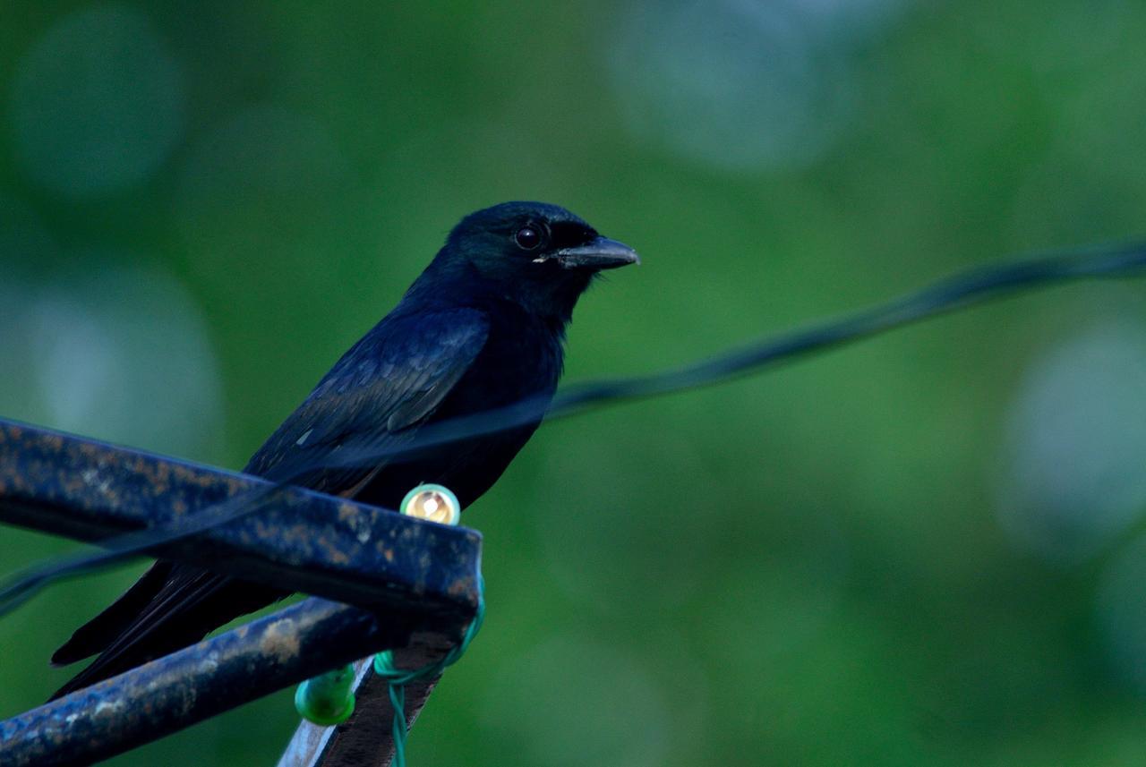 Nature Resort Agra  Bagian luar foto
